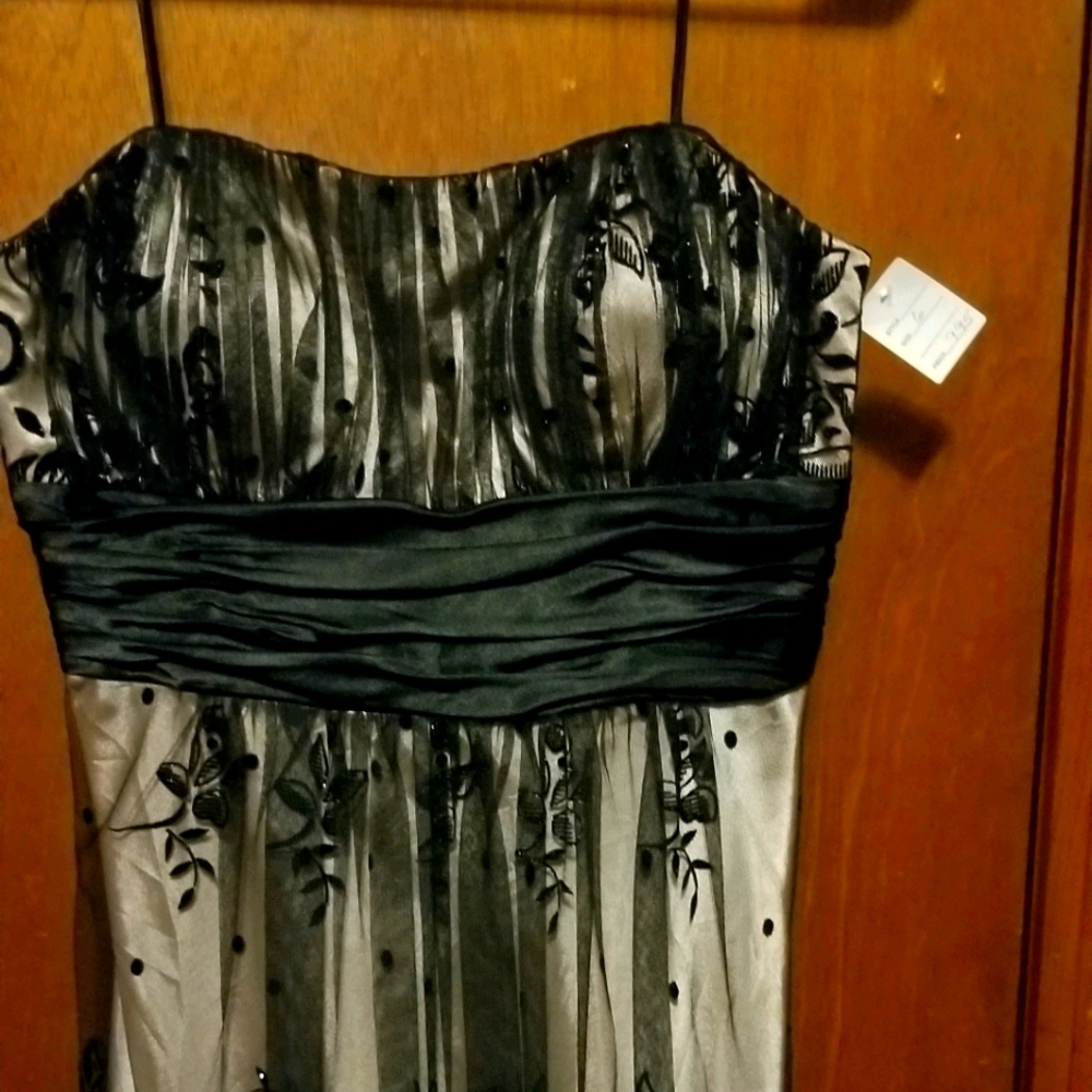 S. L. Fashions Formal Dress